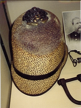 Integrated pest management advice (mould, insects, rodents etc.)